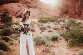 Free Download:Twig & Olive Photography – Harvest Matte Presets