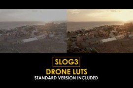 Slog3 Drone and Standard Color LUTs 51104325