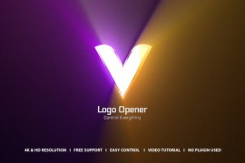 Logo Intro 47241819
