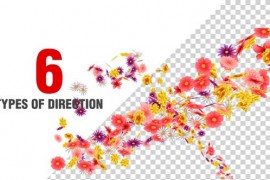 Multiple Flowers Spiral Pack 50544204