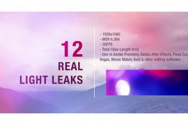 Light Leaks 19524542