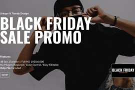 Black Friday Sale Promo 49136125
