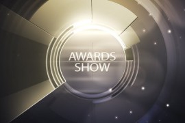 Awards Show 11309872
