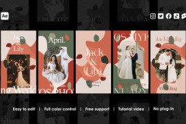 Marriage Instagram Stories 48542669
