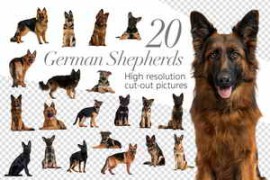 20 German Shepherds – Cut-out Pics 1449435