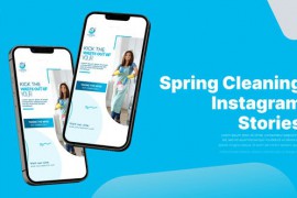 Spring Cleaning Instagram Stories 51915790