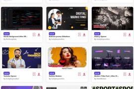 2023.3.20.146.Set.AE.Templates