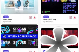 2022.12.11.3.Set.AE.Templates