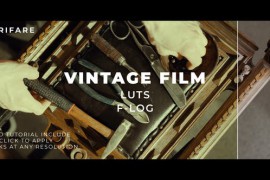 Luts Vintage Film F-Log 44172970