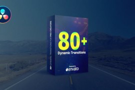 Dynamic Transitions 48457380