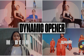 Dynamic Opener 51839075