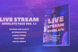Stream Overlays Pack 29422618