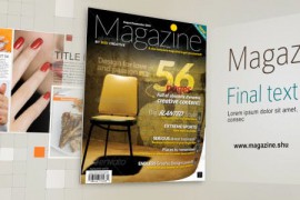 Magazine 13429269