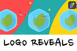 Colorful Logo Reveal Pack for FCPX 47553447
