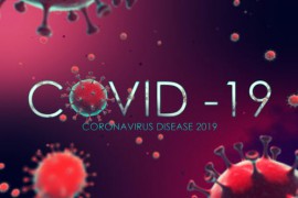 Covid 19 / Coronavirus Pandemic 26286795