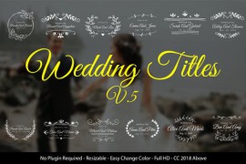 Wedding Titles 22030075