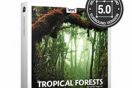 Boom Library Tropical Forests Surround Edition WAV