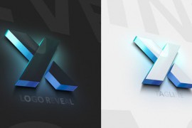 Logo Reveal 44750890