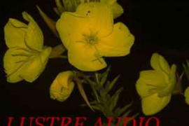 Lustre Audio Stratosphere WAV [FREE]