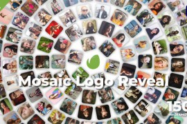 Mosaic Photo 48220046