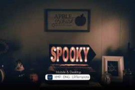 Free Download:DesignBundles – Spooky Halloween Preset