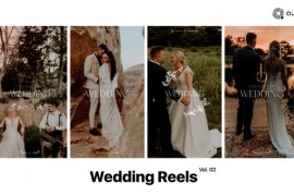 Wedding Reels Vol. 02 49249698
