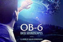 Black Octopus Sound OB6 Bass Soundscapes WAV-DISCOVER