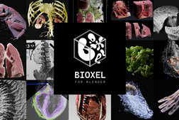Free Download:Superhivemarket – Bioxel Nodes v2.0.0