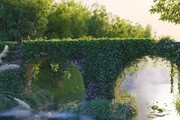 Maxtree Plant Models Vol.68