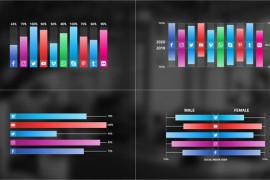 Social Media Infographic | Premiere Pro 42129938