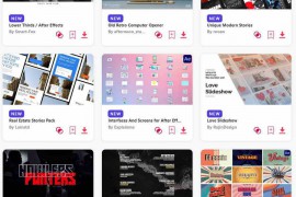2024.3.13.79.Set.AE.Templates
