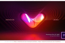 Strokes Reflection Logo Animation 52647599