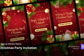 Social Media Reels - Christmas Party Invitation After Effects Template 49496928