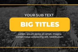 Big Titles 33348835