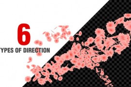 Flowers Spiral Pack V7 50970095