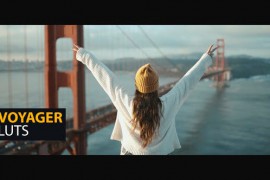 Voyager LUTs 50130814