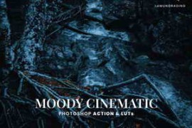 Moody Cinematic Photoshop Action & LUTs