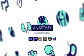 Anatomy Animated Icons 44950428