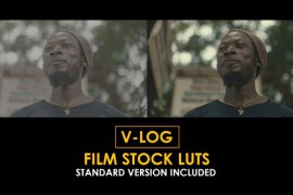 V-Log Film Stock and Standard Color LUTs 51443704