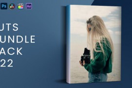 LUTs Bundle Pack V22 44350109