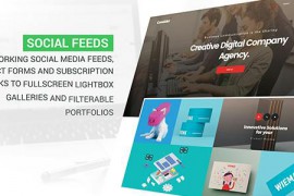 Website Presentation 20795736