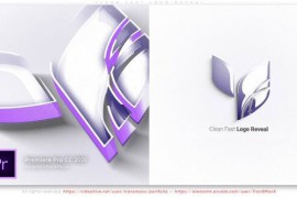Clean Fast Logo Reveal 51645356