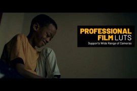Professional Film Color LUTs 48504764