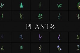 Plants for DaVinci Resolve 51636461