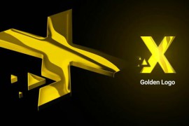 Gold Logo 49499915