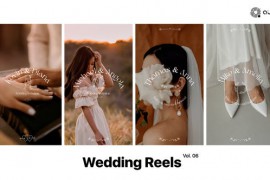 Wedding Reels Vol. 06 49249802