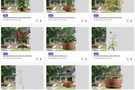2024.3.9.15.Set.Stock-Video