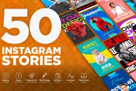 Content Creator Instagram Stories 46100542