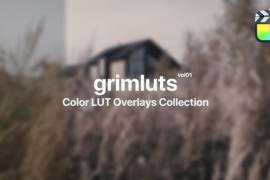 Grim Presets for Final Cut Pro Vol. 01 48017666