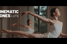 Cinematic Tones Color LUTs 48513069